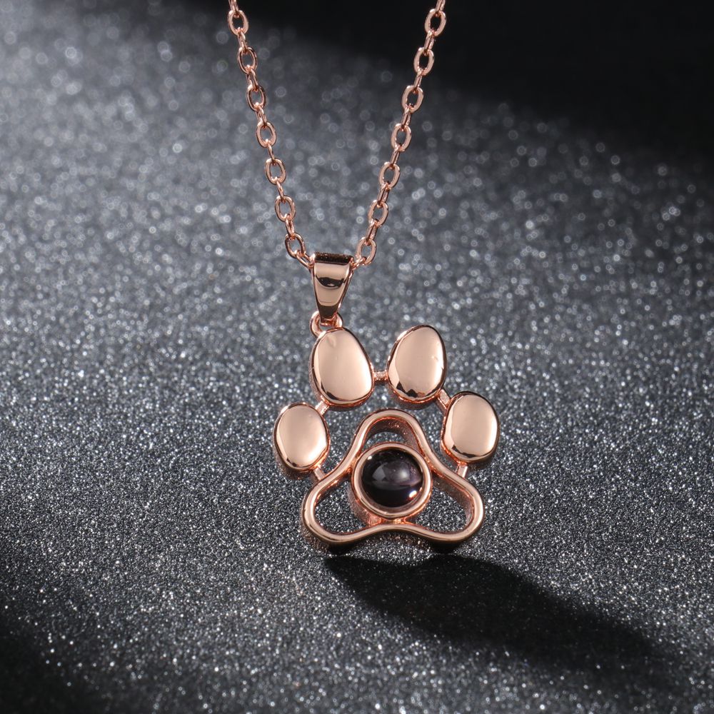 שרשרת תמונה מוצפנת פרופילוס