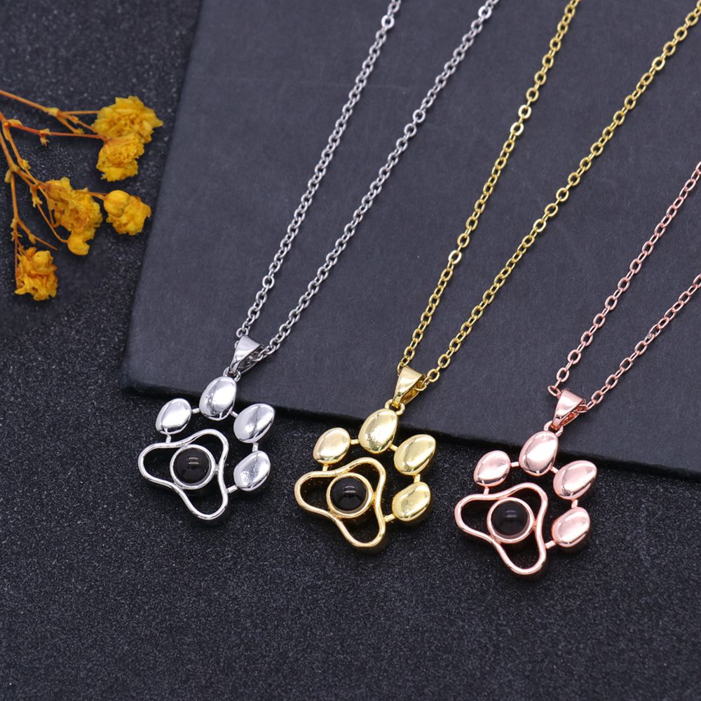 שרשרת תמונה מוצפנת פרופילוס