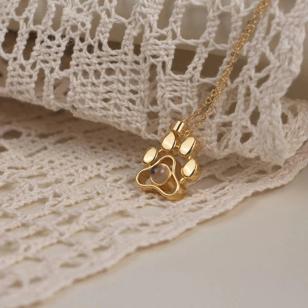 שרשרת תמונה מוצפנת פרופילוס